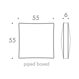 55 x 55