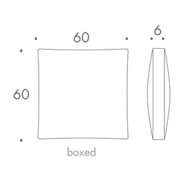 60 x 60