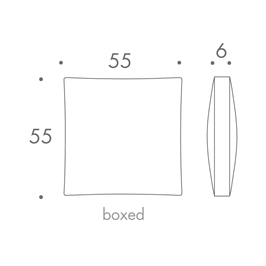 55 x 55
