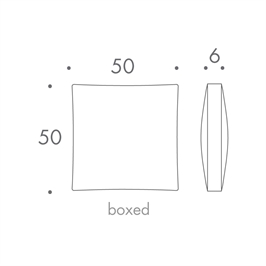 50 x 50
