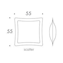 55 x 55