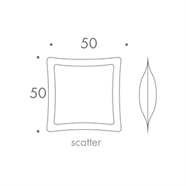 50 x 50