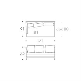 MODULE B1